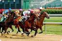 online horse racing betting system