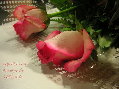happy valentines day