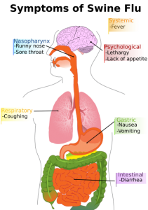 swine_flu_symptoms