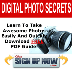 learn digital photo