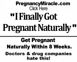 pregnancy miracle download pregnancy miracle guide